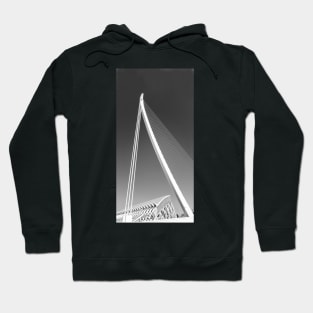 Structural abstract. Hoodie